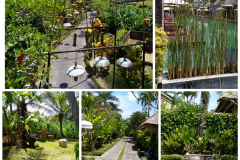 PhotoCollage_20191210_142703634neu