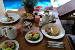 WP_20181202_03_03_42_Proneu